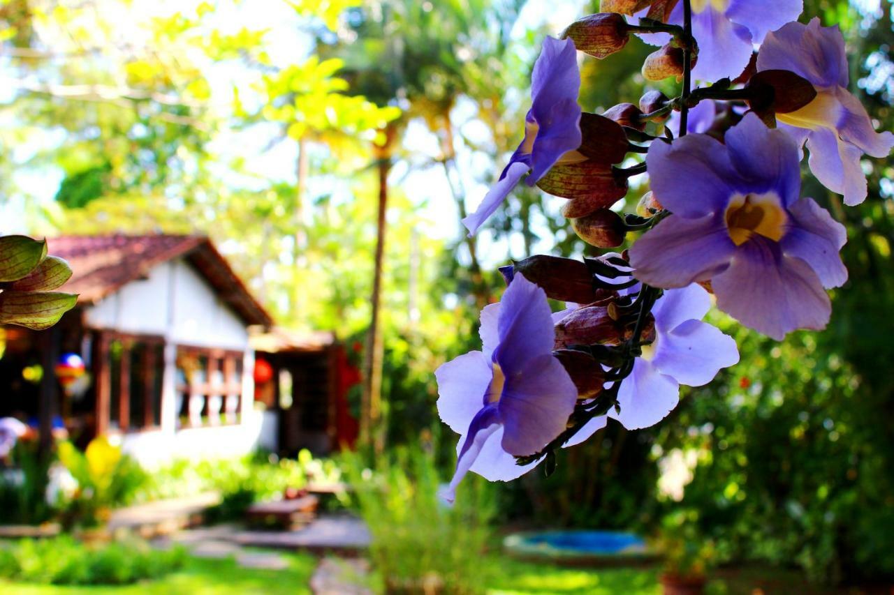 Recanto Das Andorinhas Studios Parati Extérieur photo